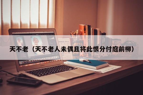 天不老（天不老人未偶且将此恨分付庭前柳）