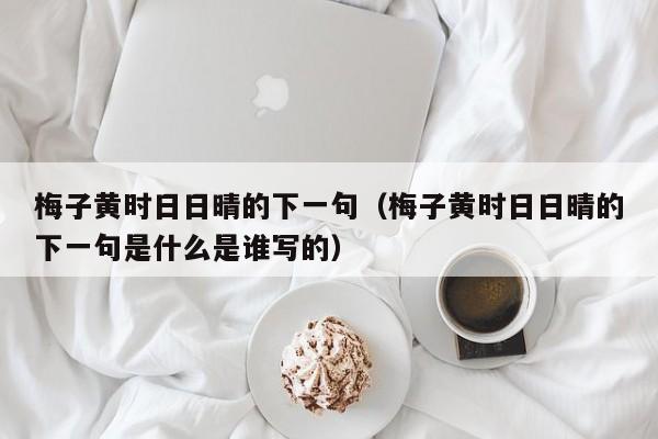 梅子黄时日日晴的下一句（梅子黄时日日晴的下一句是什么是谁写的）