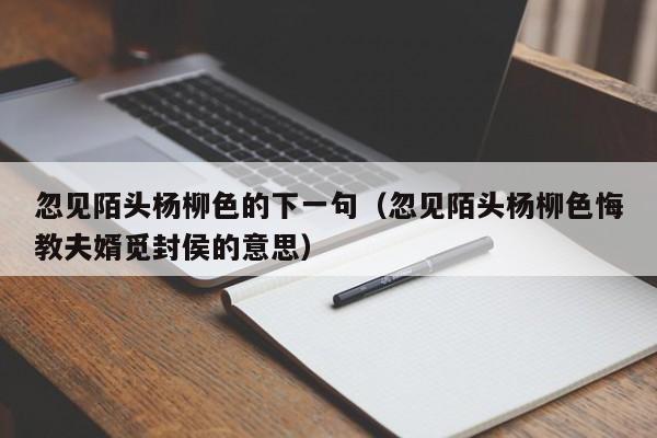 忽见陌头杨柳色的下一句（忽见陌头杨柳色悔教夫婿觅封侯的意思）