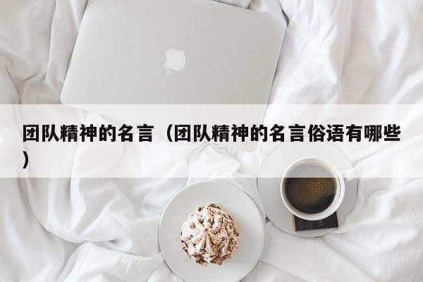 团队精神的名言（团队精神的名言俗语有哪些）