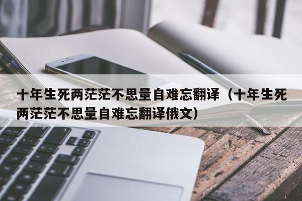 十年生死两茫茫不思量自难忘翻译（十年生死两茫茫不思量自难忘翻译俄文）