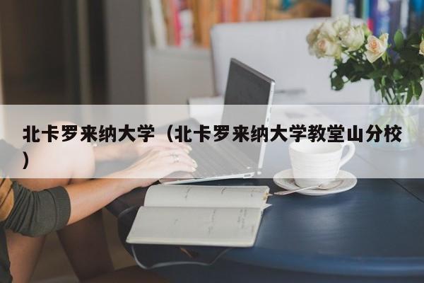 北卡罗来纳大学（北卡罗来纳大学教堂山分校）