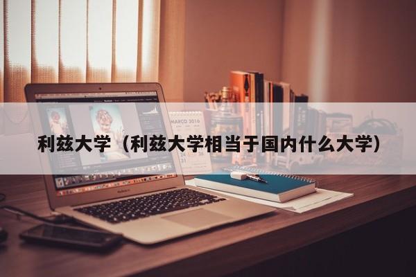 利兹大学（利兹大学相当于国内什么大学）