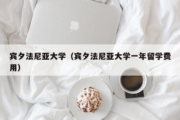 宾夕法尼亚大学（宾夕法尼亚大学一年留学费用）