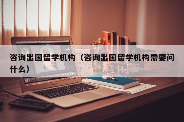 咨询出国留学机构（咨询出国留学机构需要问什么）