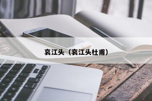 哀江头（哀江头杜甫）
