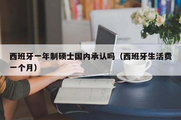 西班牙一年制硕士国内承认吗（西班牙生活费一个月）