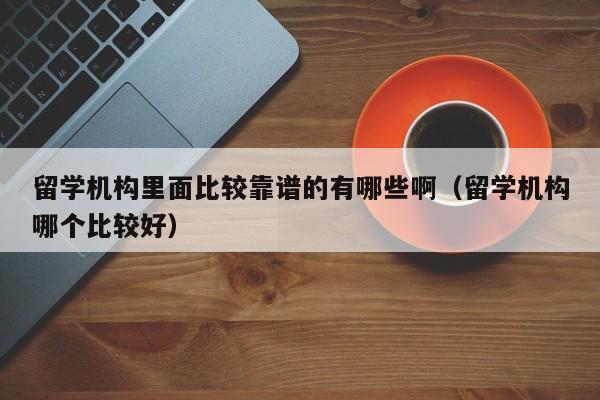 留学机构里面比较靠谱的有哪些啊（留学机构哪个比较好）