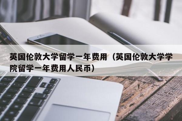 英国伦敦大学留学一年费用（英国伦敦大学学院留学一年费用人民币）