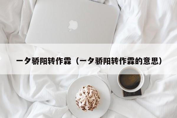 一夕骄阳转作霖（一夕骄阳转作霖的意思）