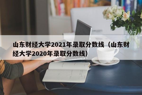 山东财经大学2021年录取分数线（山东财经大学2020年录取分数线）