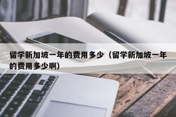 留学新加坡一年的费用多少（留学新加坡一年的费用多少啊）