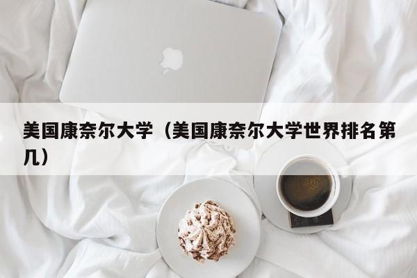 美国康奈尔大学（美国康奈尔大学世界排名第几）
