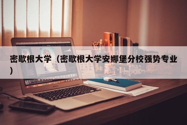 密歇根大学（密歇根大学安娜堡分校强势专业）