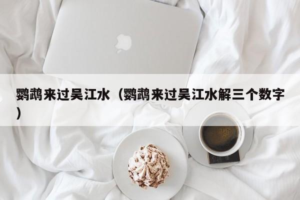 鹦鹉来过吴江水（鹦鹉来过吴江水解三个数字）