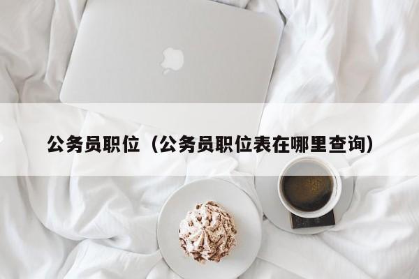 公务员职位（公务员职位表在哪里查询）