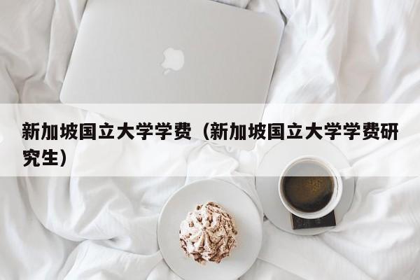 新加坡国立大学学费（新加坡国立大学学费研究生）