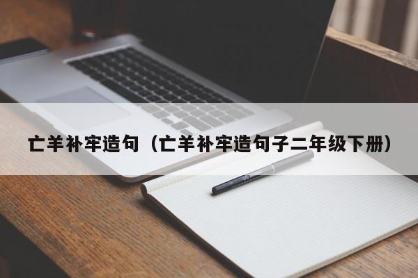 亡羊补牢造句（亡羊补牢造句子二年级下册）