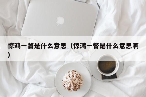 惊鸿一瞥是什么意思（惊鸿一瞥是什么意思啊）
