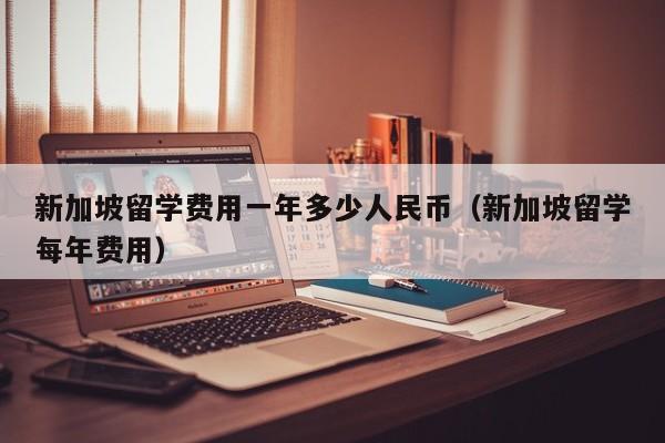 新加坡留学费用一年多少人民币（新加坡留学每年费用）