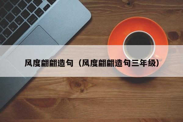 风度翩翩造句（风度翩翩造句三年级）