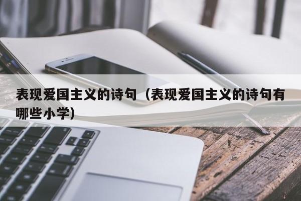 表现爱国主义的诗句（表现爱国主义的诗句有哪些小学）
