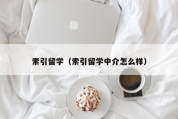 索引留学（索引留学中介怎么样）